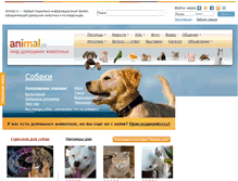 Tablet Screenshot of animal.ru