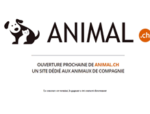 Tablet Screenshot of animal.ch
